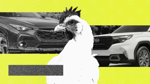 Subaru, Fakta Menarik: Tiga Persen Pemilik Subaru Mengangkut Ayam