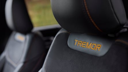 'Take It To AutoZone:' Woman's Wrench Light Comes On In Her Ford. Then She Looks Up What It Means