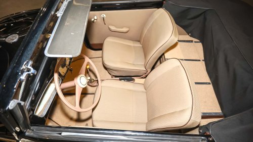 Die seltensten Käfer der Welt: 9 Kostbarkeiten von Laster bis Luxus