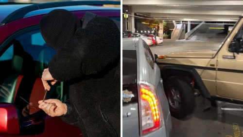 'Who Are You?:' Woman Catches Thieves Stealing Neighbor’s G-Wagon. Then She Pursues On Foot