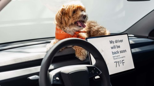 Tesla, Tesla dévoile également la Model 3 Standard