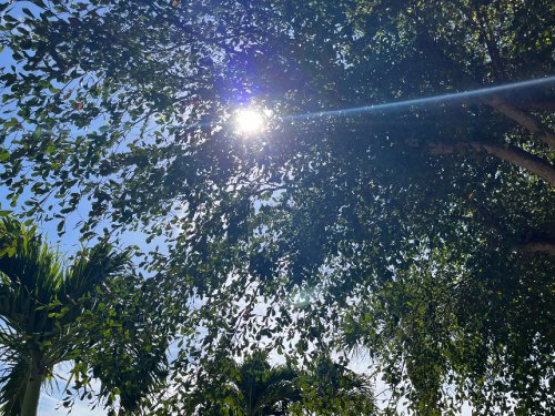 Fossil Fuels & The Maslow Hierarchy Of Needs