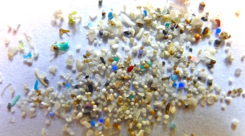 Illinois First Great Lakes State To Enact Plastic Pellet Pollution Law