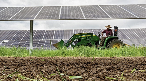 Renewable Energy Puts Money In The Pockets Of Struggling Farmers