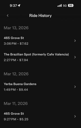 Tesla Bull Spends 4 Days In San Francisco Testing The Robotaxi