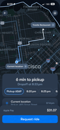 Tesla, Robotaxi, Tesla Bull Spends 4 Days In San Francisco Testing The Robotaxi