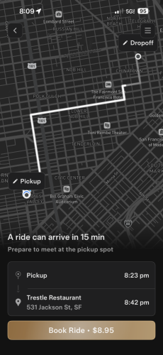 Tesla Bull Spends 4 Days In San Francisco Testing The Robotaxi