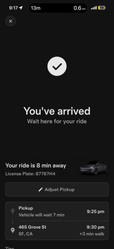 Tesla Bull Spends 4 Days In San Francisco Testing The Robotaxi