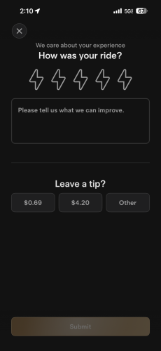 Tesla Bull Spends 4 Days In San Francisco Testing The Robotaxi