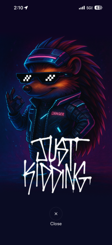 Tesla Bull Spends 4 Days In San Francisco Testing The Robotaxi