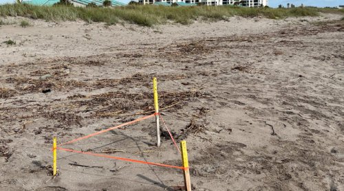 Take Out The Earbuds & Appreciate The Nature Around You!