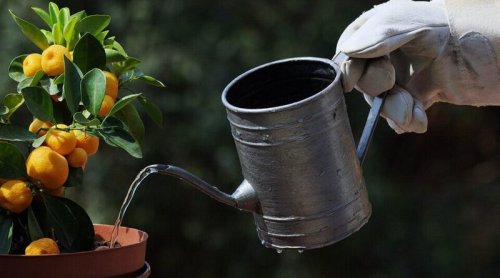 More On Batteries, Or How To Grow Lemons In Vermont