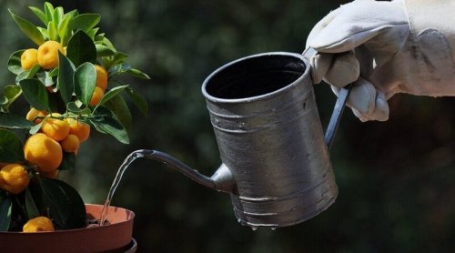 More On Batteries, Or How To Grow Lemons In Vermont