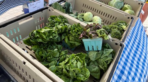 We Can Create Food Systems That Enhance Human & Planetary Health