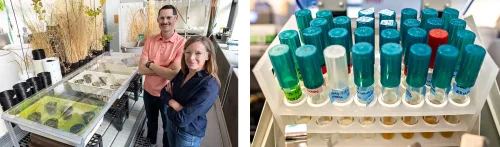 The Fast Lane: 3 Ways To Get More Critical Minerals, Now