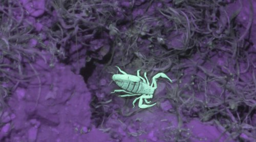 Starting My All-Electric Route 66 RV Adventure