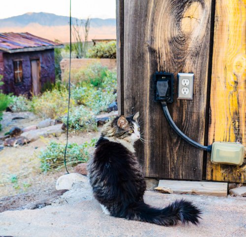 Electric RVing in Oatman and on the Arizona Sidewinder