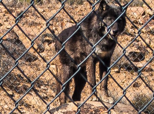 Kingman: Route 66’s Electric HQ & Gateway To Easy EV Adventure