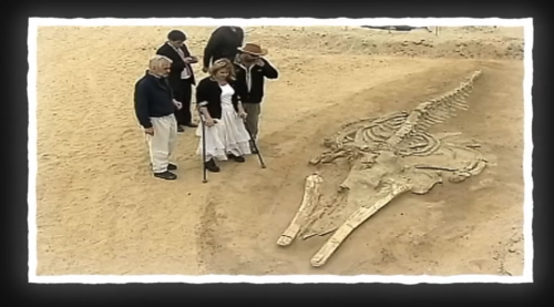 The Link Between Whales In The Andes & Climate Change