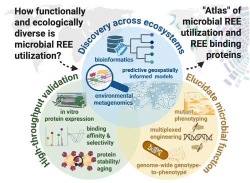 New “Atlas” Will Catalog Proteins That Bind to Rare Earth Elements