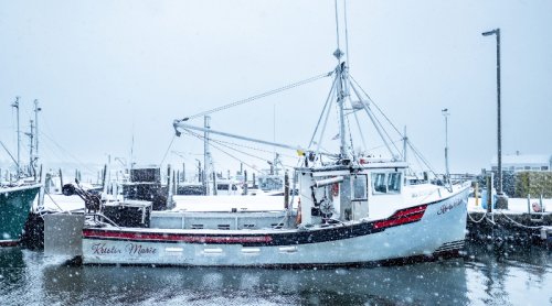 The New England Fishing Industry Is Helping Scientists To Understand Ocean Changes