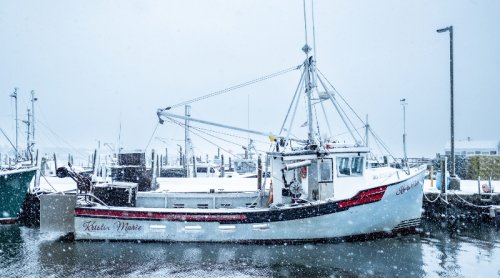 The New England Fishing Industry Is Helping Scientists To Understand Ocean Changes