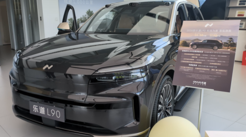 Tesla Model Y L. Why Would You Pick The Y?