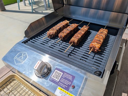 The Kenyon G2 Electric Grill — CleanTechnica Tested