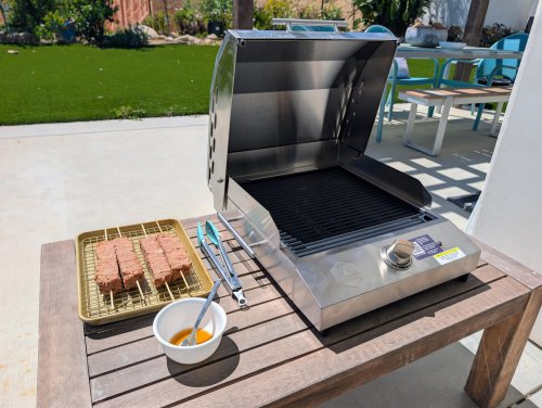 The Kenyon G2 Electric Grill — CleanTechnica Tested