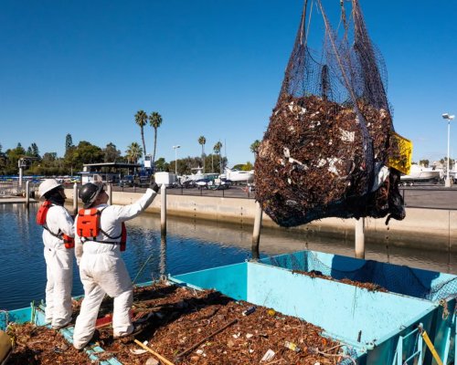 Ocean Cleanup Targets Plastic Trash In Southern California