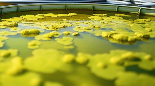 Reflecting Pools, Graphite for EVs — Top Stories of the Week