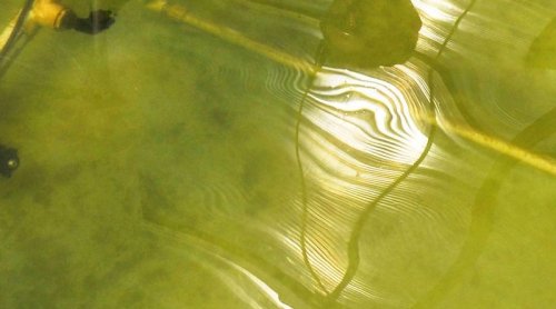 Trump’s Failed Algae Biofuel Experiment Versus Europe’s “FUELGAE” Initiative: Compare And Contrast