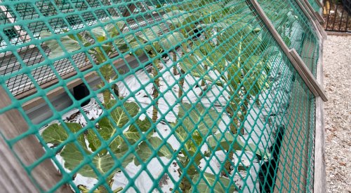 Want To Create A Viable And Sustainable Community Garden? These Folks Can Show You How