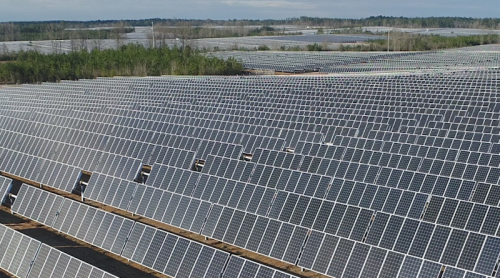 Trump Whacks Wind But Can’t Sack Solar Power