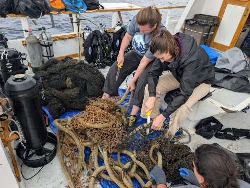 Hyundai, A Look Inside Hyundai’s Ocean Cleanup Partnership With Healthy Seas — CleanTechnica Field Trip