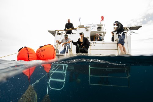 A Look Inside Hyundai’s Ocean Cleanup Partnership With Healthy Seas — CleanTechnica Field Trip