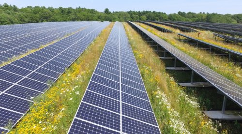 Oh, So Trump Loves Solar Power After All?