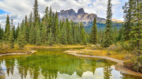 Sierra Club Statement on USDA Announcement to Remove Roadless Rule Protections