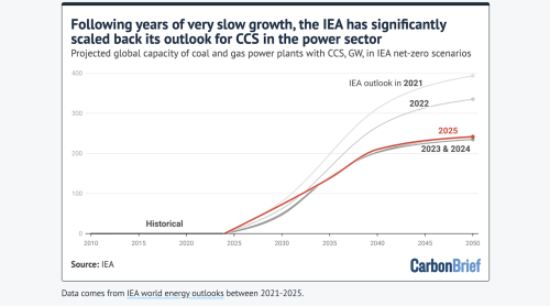 Q&amp;A: Does the World Need “Carbon Capture &amp; Storage” to Reach Net-Zero?