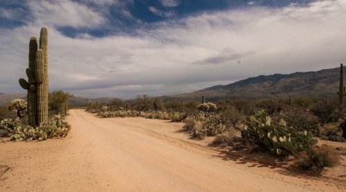 Thousands of Comments Shared with Governor Katie Hobbs Passionately Oppose Desert Southwest Gas Pipeline