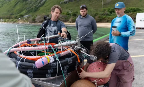 New Kind Of Surfer Is Riding Waves — And Producing Power