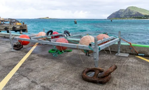 New Kind Of Surfer Is Riding Waves — And Producing Power