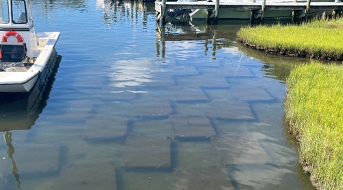 Slurp Down That Oyster — You’re Helping To Restore Water Quality