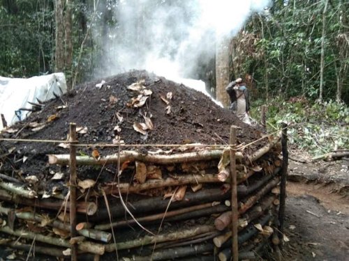 CarbonPH Coalition Charts Roadmap for Philippine Forest Carbon in ASEAN