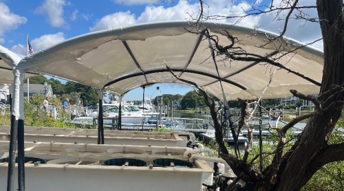 Slurp Down That Oyster — You’re Helping To Restore Water Quality