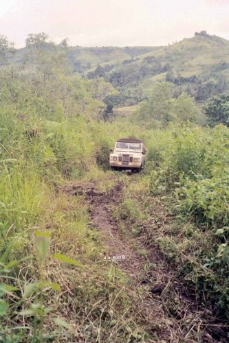 Land Rover, Rover, 4 by Four Restorasi | Land Rover Series III 1984 – LAURENS LEGENDA SUMBA TIMUR