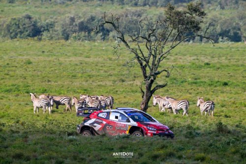Toyota, World Rally Championship Toyota Gazoo Racing WRT – KATSUTA MENANG SAFARI RALLY KENYA