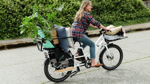 Why every American family should have an e-bike at home