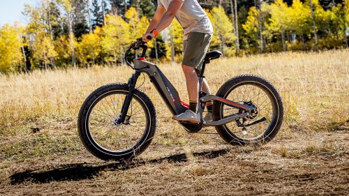 Heybike Hero mid-drive carbon-fiber all-terrain e-bike at exclusive new 1,049.50 low, EcoFlow power station flash sale, more