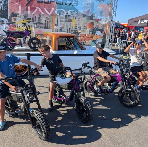 Why lawmakers are trying so hard to slap license plates on e-bikes this year